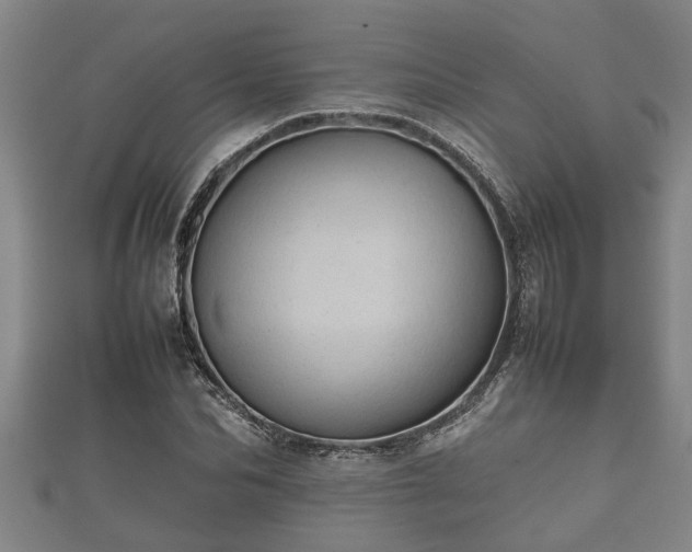 X0000112400974200908211111