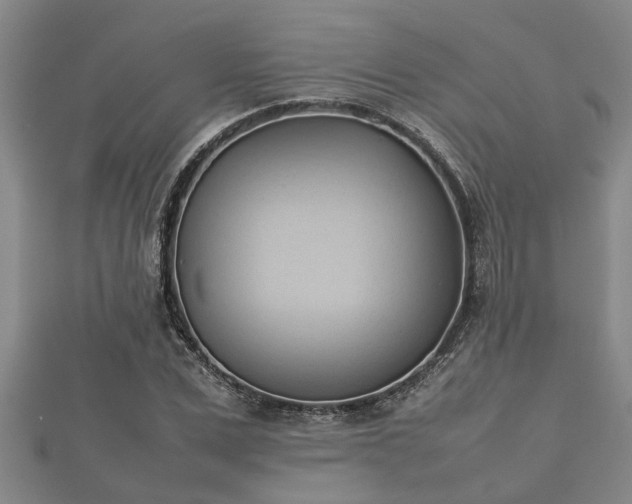 X0000112400975200908211111