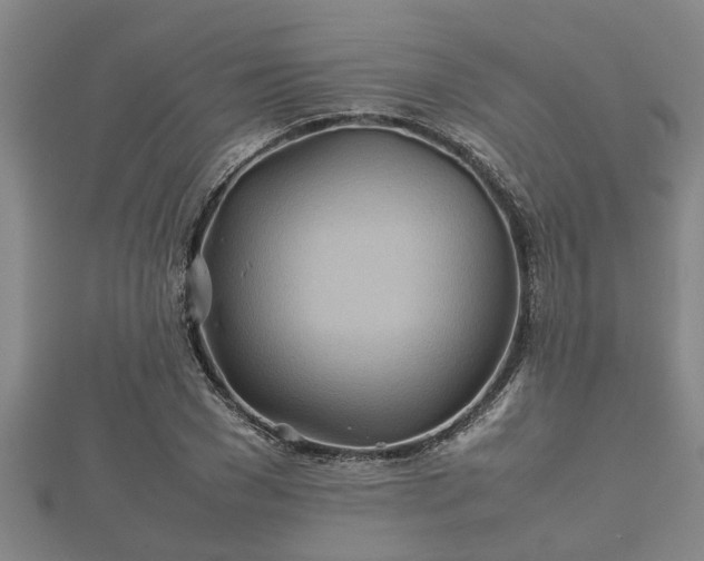 X0000112400977200908211111