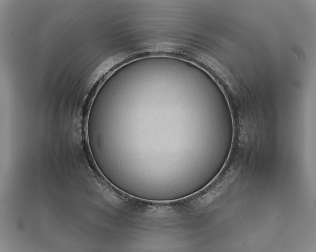 X0000112400978200908211111