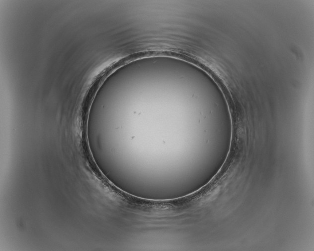 X0000112400979200908211111