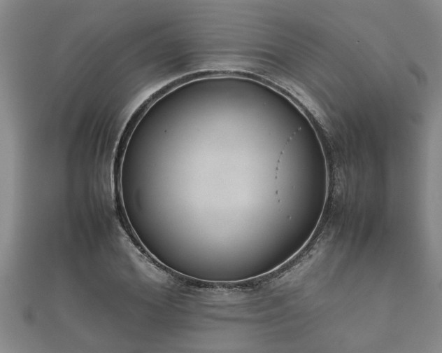 X0000112400980200908211111