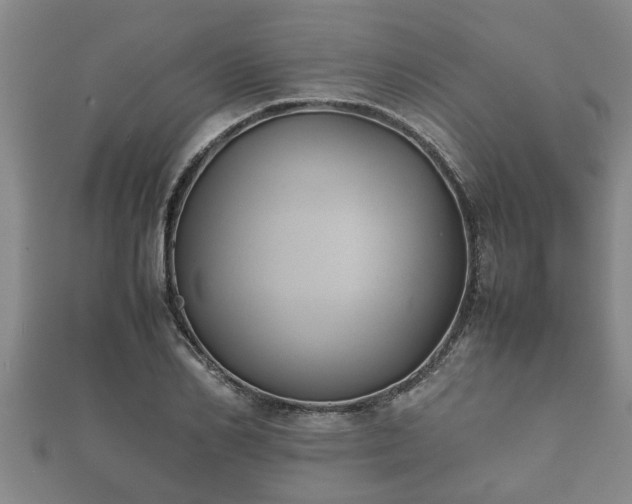 X0000112400982200908211111