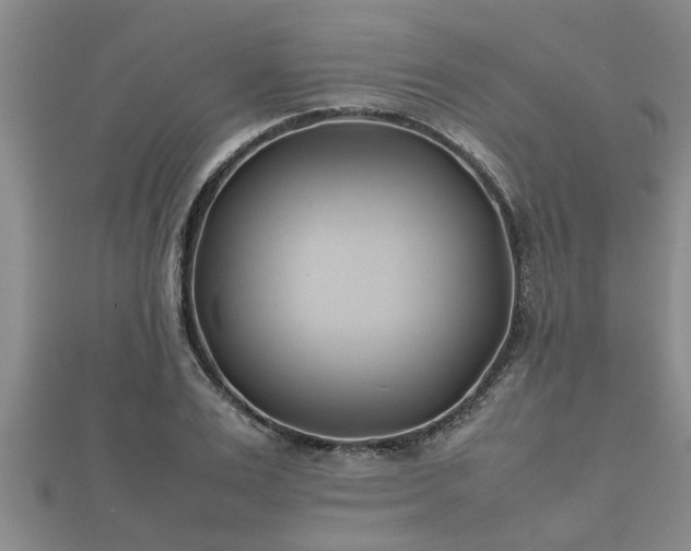 X0000112400983200908211111