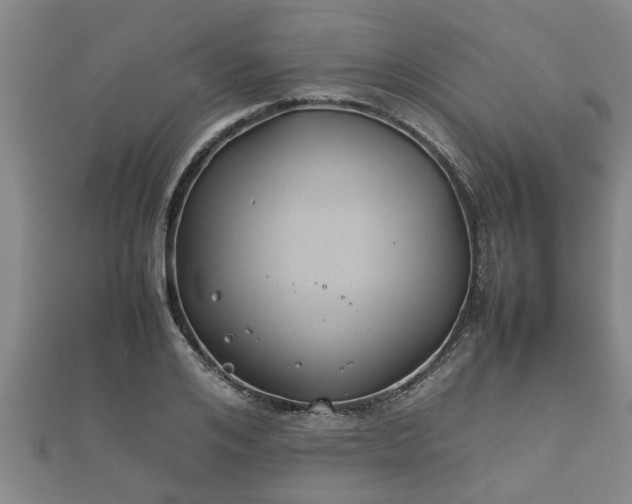 X0000112400984200908211111