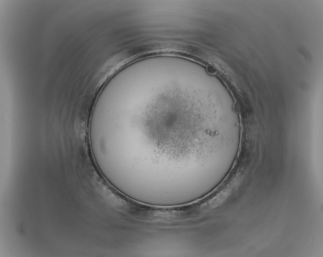 X0000112400985200908211111