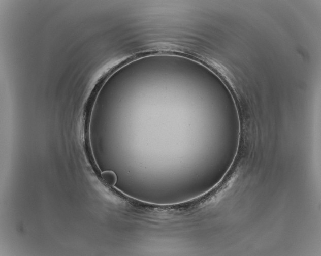 X0000112400987200908211111