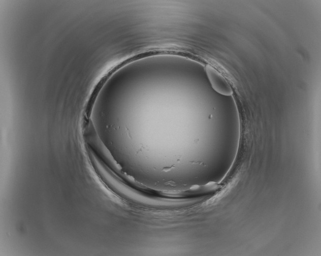 X0000112400989200908211111
