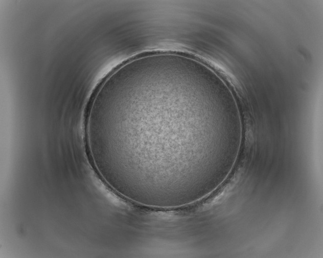 X0000112400990200908211111