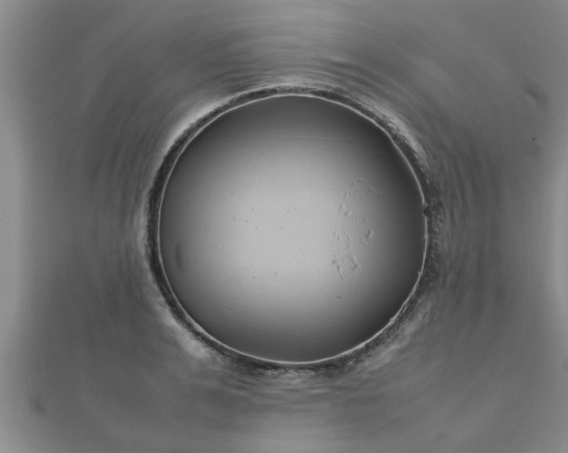 X0000112400991200908211111