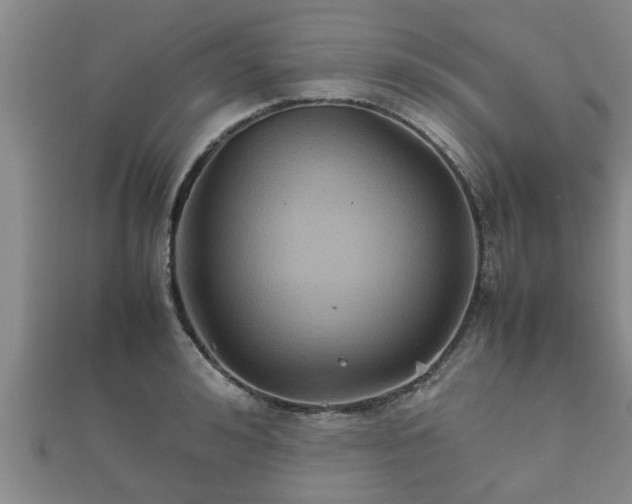 X0000112400992200908211111