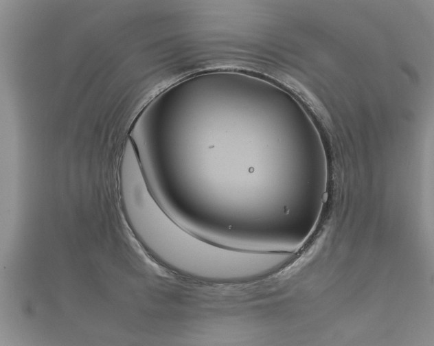 X0000112400993200908211111