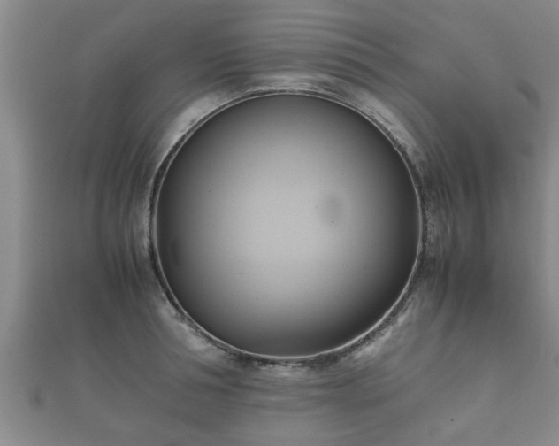 X0000112400994200908211111