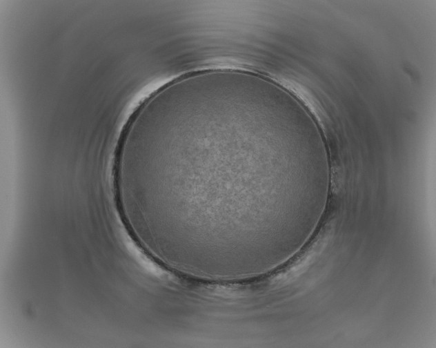 X0000112400995200908211111
