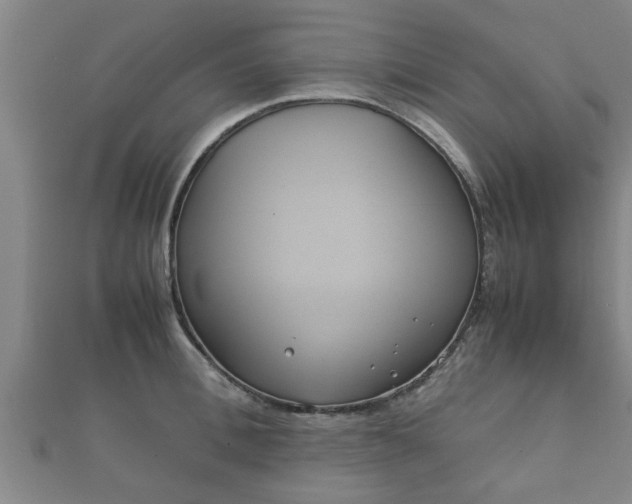 X0000112400996200908211111
