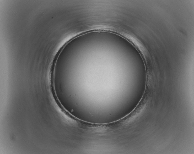 X0000112400999200908211111
