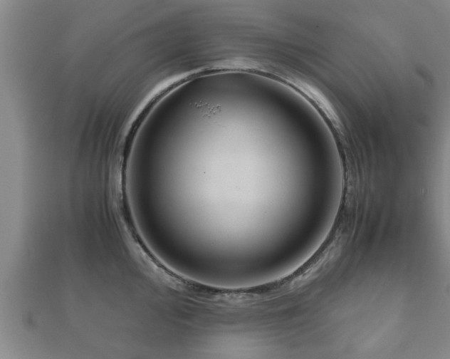 X0000112401000200908211111