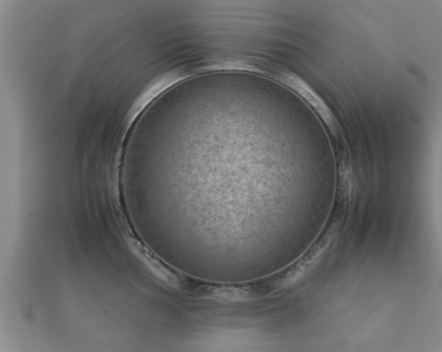X0000112401002200908211111