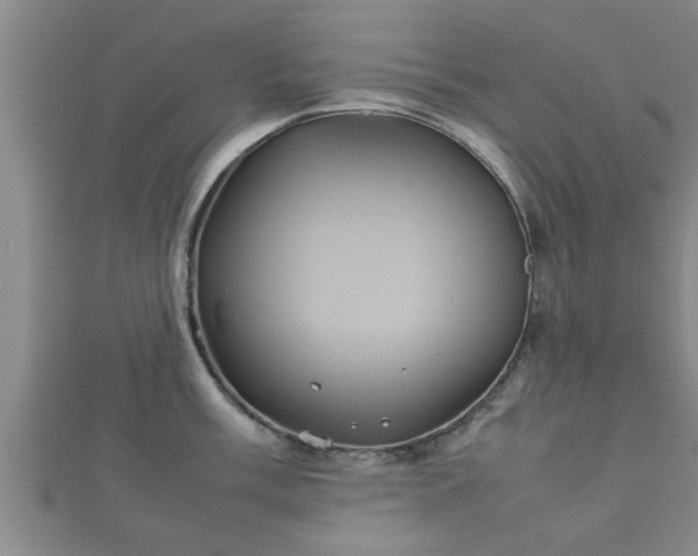X0000112401003200908211111