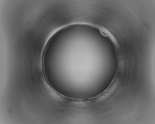 X0000112401004200908211111