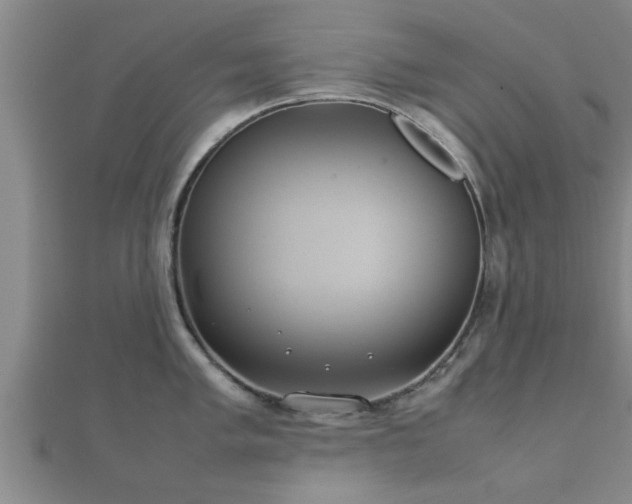 X0000112401005200908211111