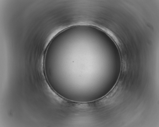 X0000112401006200908211111