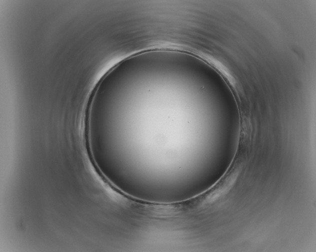 X0000112401007200908211111