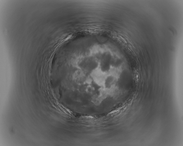 X0000112401009200908211110