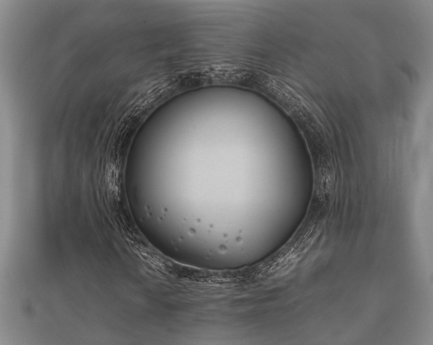 X0000112401010200908211110