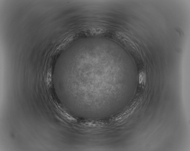 X0000112401011200908211110
