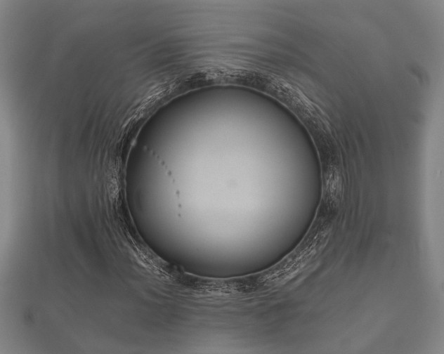 X0000112401012200908211110