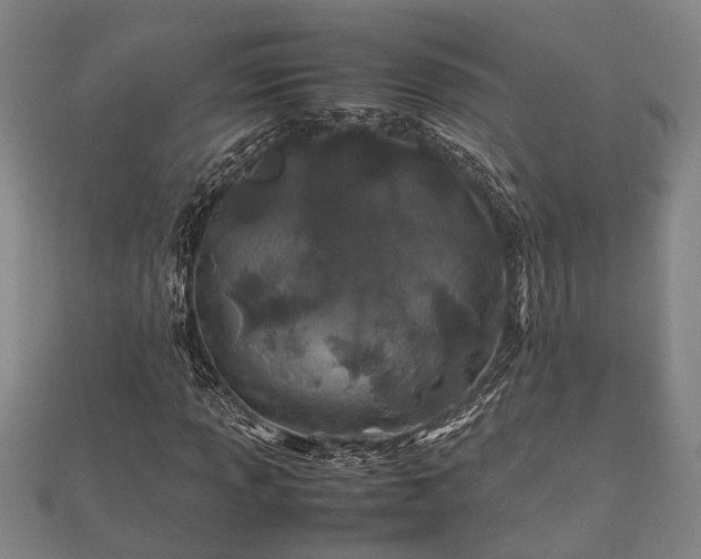 X0000112401013200908211110