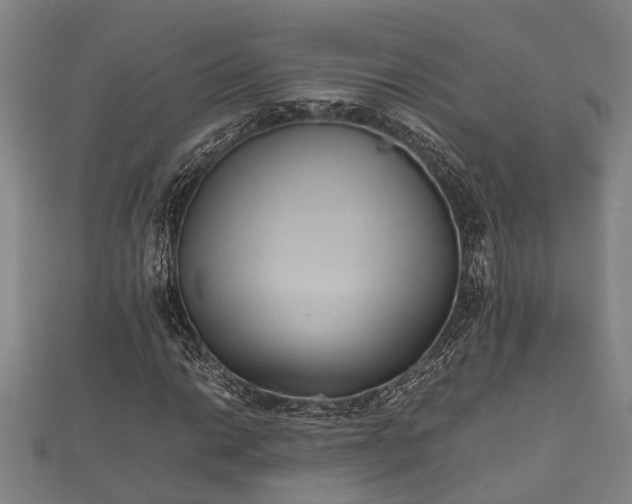 X0000112401014200908211110