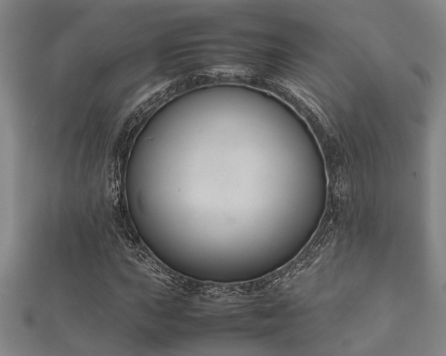 X0000112401015200908211110