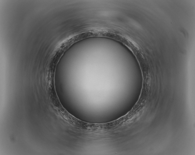 X0000112401016200908211110