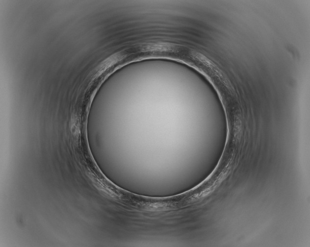 X0000112401017200908211110