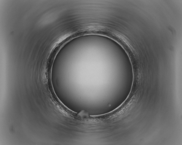 X0000112401018200908211110