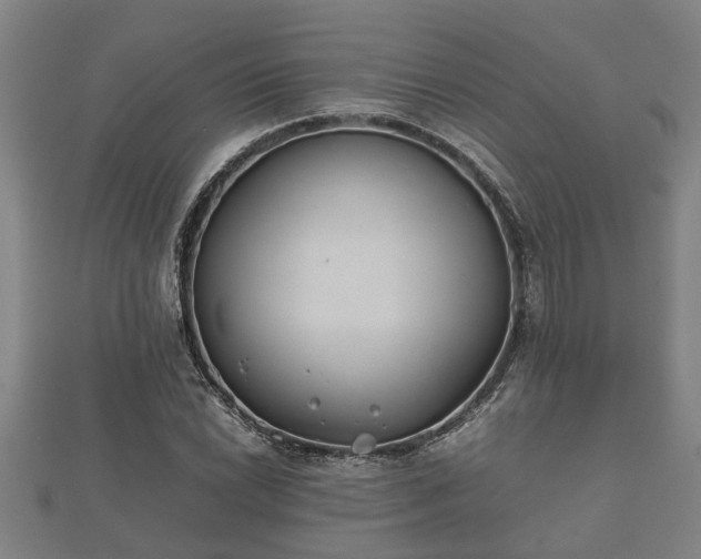X0000112401022200908211110