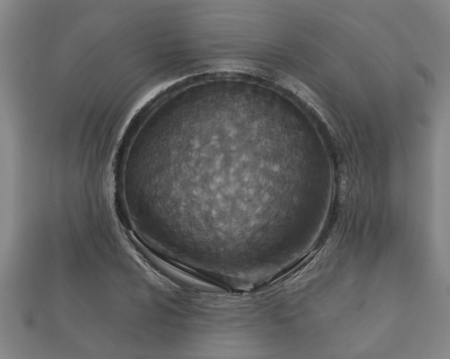 X0000112401024200908211110