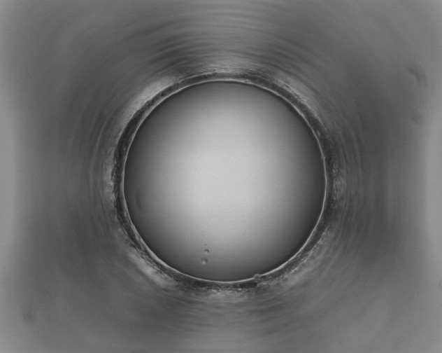 X0000112401026200908211110