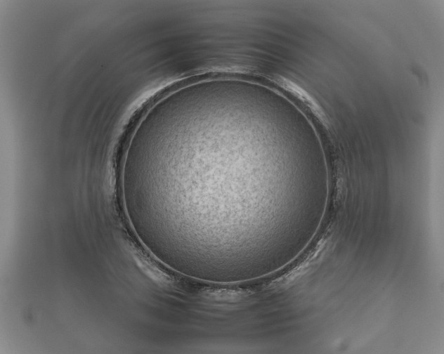 X0000112401027200908211110