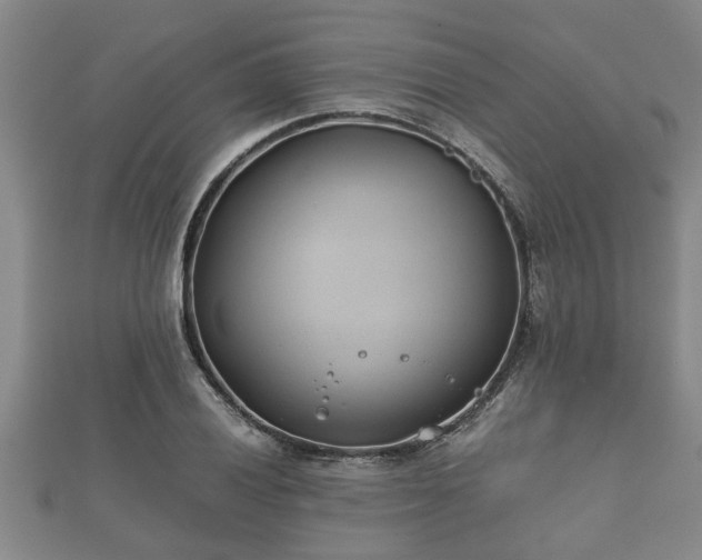 X0000112401028200908211110