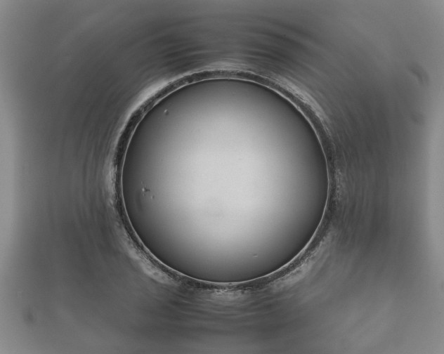 X0000112401029200908211110