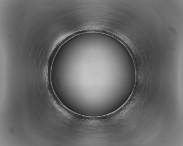X0000112401030200908211110