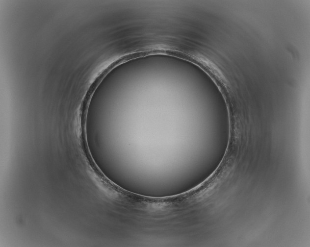 X0000112401031200908211110