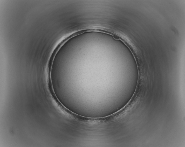 X0000112401032200908211111