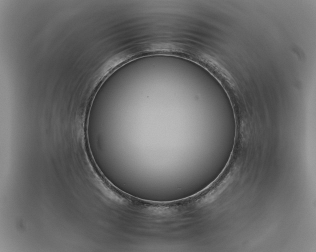 X0000112401033200908211111
