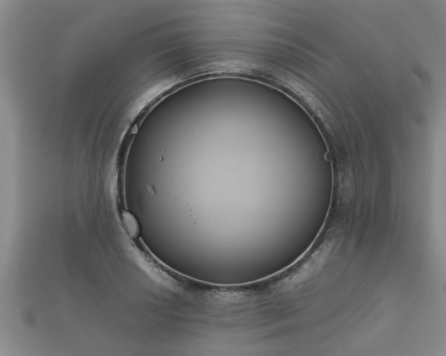 X0000112401034200908211111