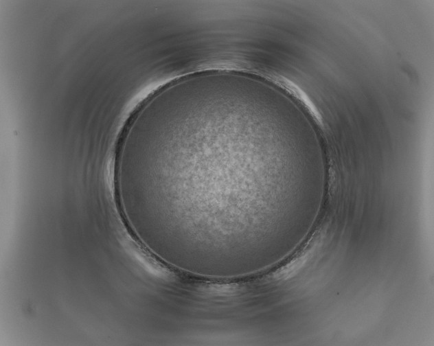 X0000112401035200908211111