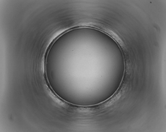 X0000112401036200908211111